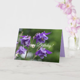 Carte Belles fleurs violettes éclatantes Aquilegia vulga