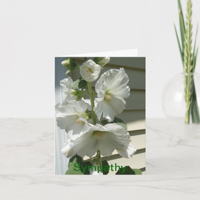 Carte Belles Hollyhocks blancs, Sympathie (Devant)