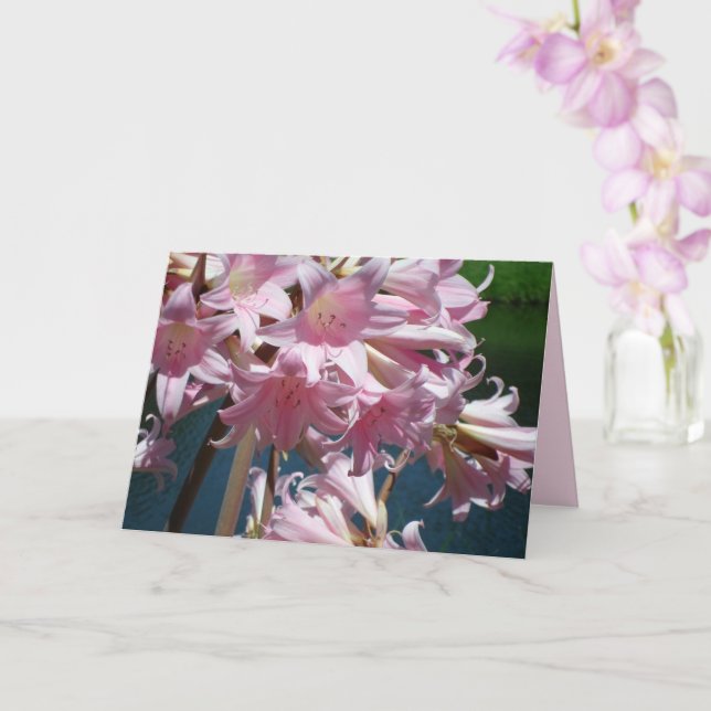 Carte Belles lis roses (Orchidée)