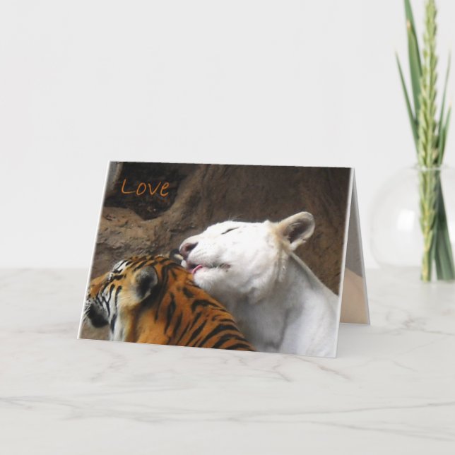 Carte Bengale Blanc Tigre Aimer Anniversaire N'importe q (Devant)