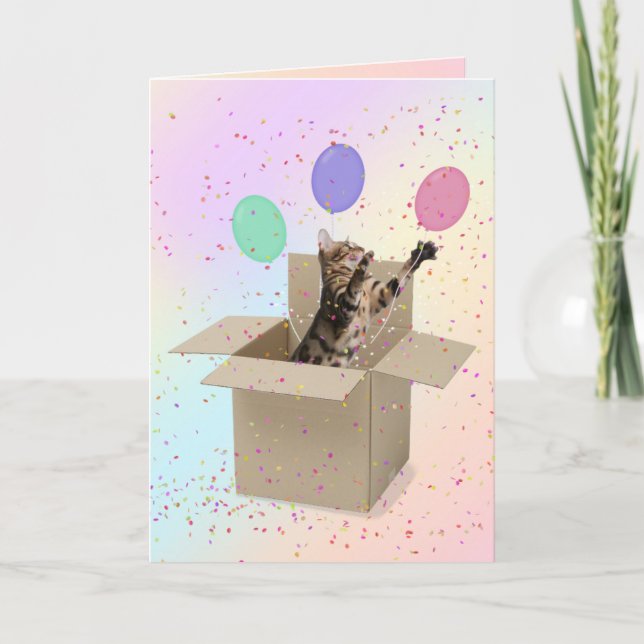 Carte Bengale chat en boîte carton anniversaire (Devant)
