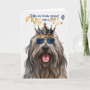 Carte Bergamasco Chien roi pour la journée drôle Anniver