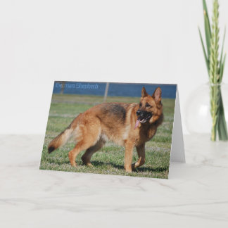 Carte Berger allemand