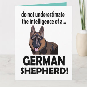 Carte Berger Allemand Anniversaire Berger Allemand