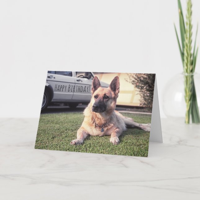 Carte Berger allemand, chien attentif d'amant d'animal (Devant)