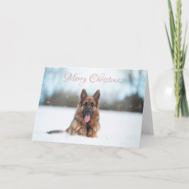 Carte Berger allemand dans la neige à Noël
