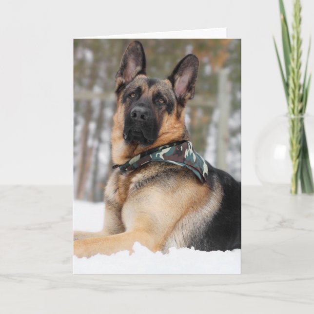 Carte Berger Allemand En Neige (Devant)