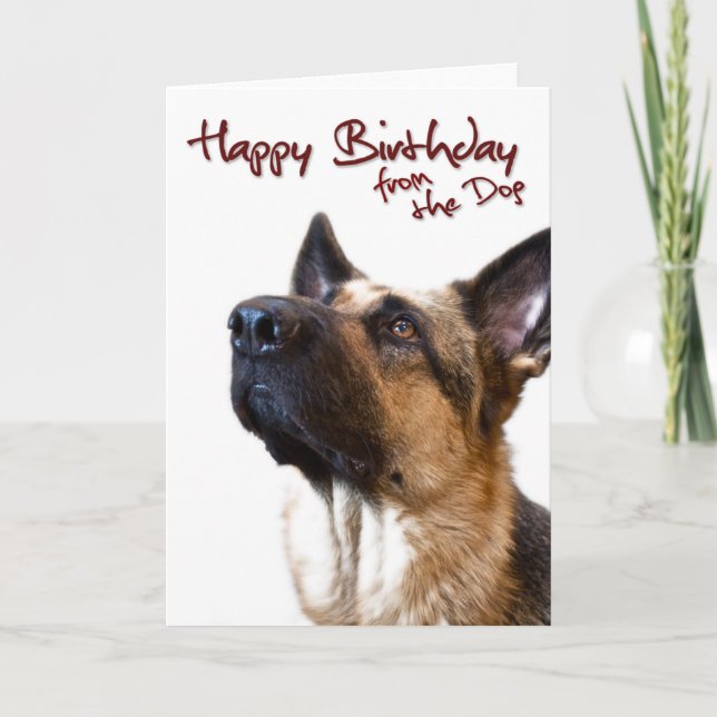 Carte Berger allemand fromthedog1 (Devant)
