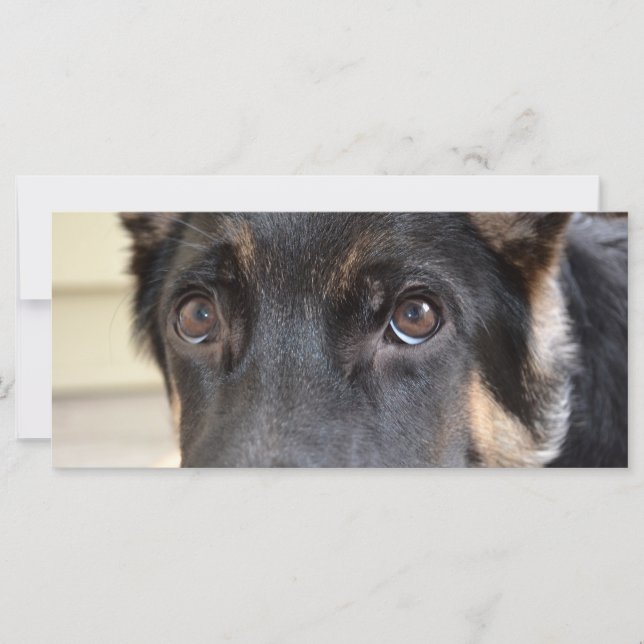 Carte berger allemand par Shirley Taylor (Devant)