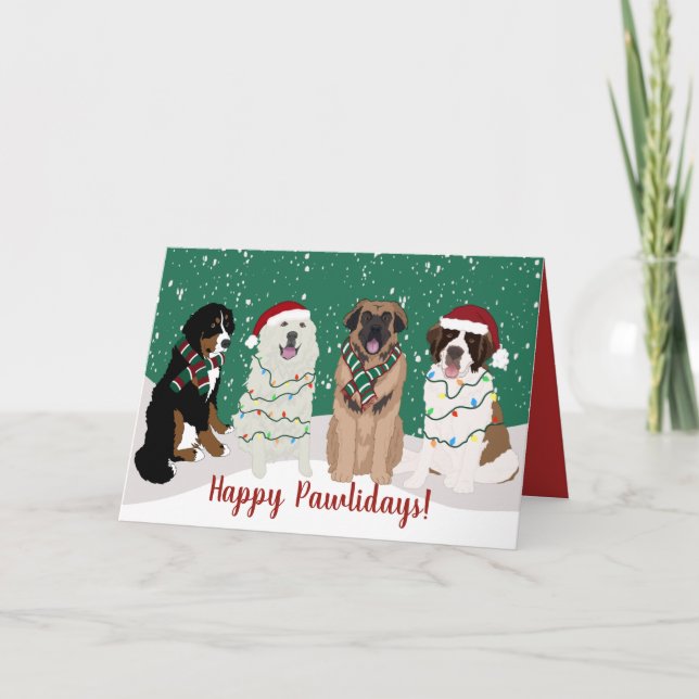 Carte Bernese Leonberger Les Grandes Pyrénées Noël (Devant)