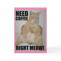 BESOIN DE CAFÉ DROITE ! Manx Chat assis drôle