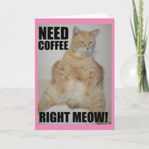 Carte BESOIN DE CAFÉ TOUT DE SUITE ! Chat Manx assis drô
