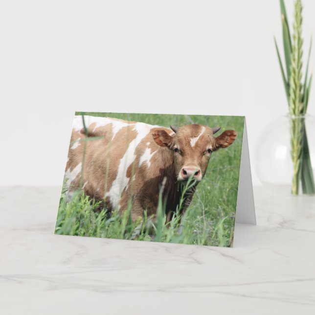 Carte Betsy, Bonjour (Devant)