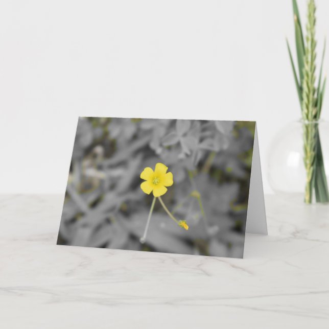 Carte Beurre (Devant)