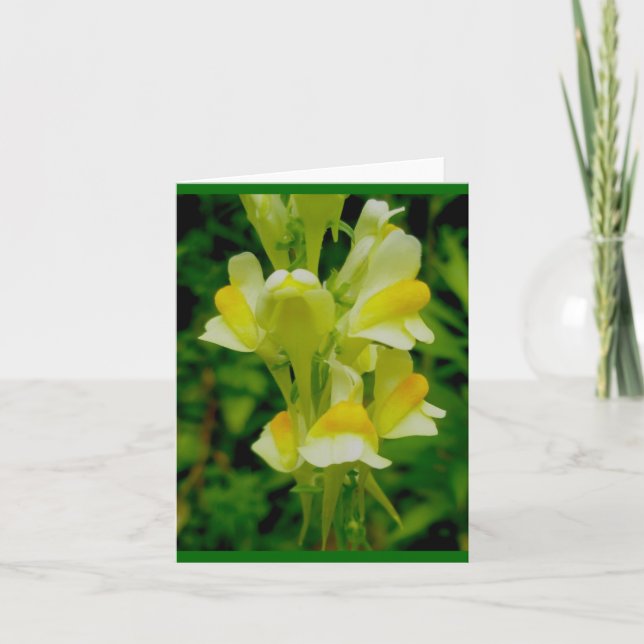 Carte Beurre 'n OE Note (Devant)