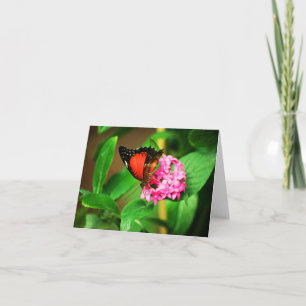 Carte biblis Cethosia