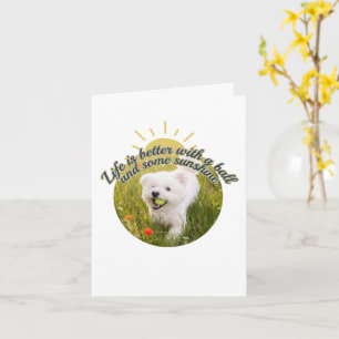 Carte Bichon & Ball Dandelion Days