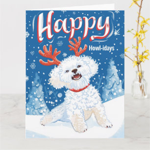 Carte Bichon Frise à Noël de neige