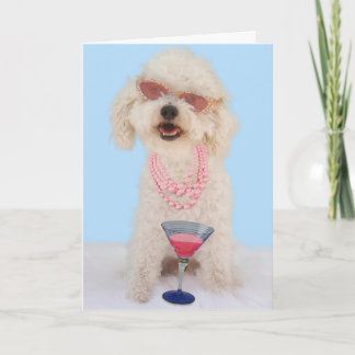 Carte Bichon Frise Birthday Card by Focus for a cause