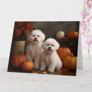 Carte Bichon Frise Puppy Automne Citrouille délice