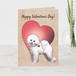 Carte Bichon Frise Saint-Valentin