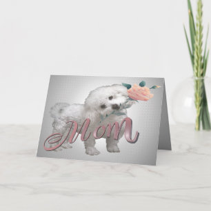 Carte Bichon Mother Day