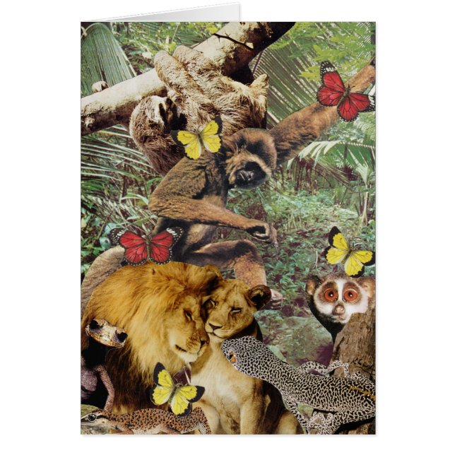 Carte bidon de jungle (Devant)