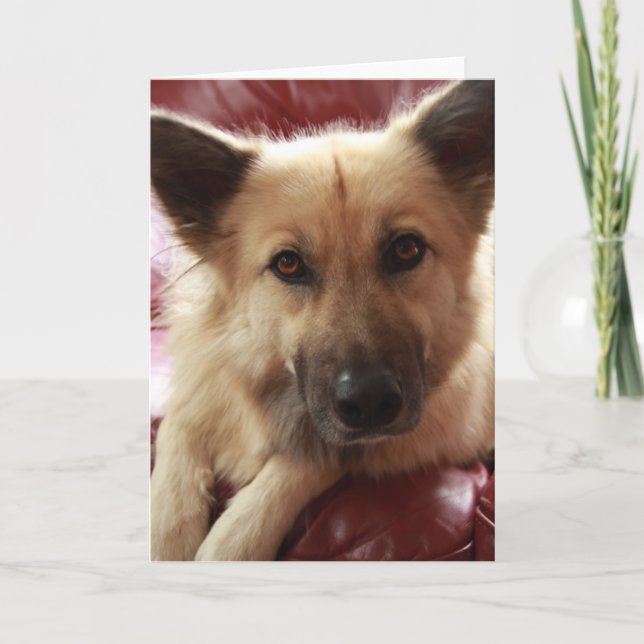 Carte Bien Doggy (Devant)