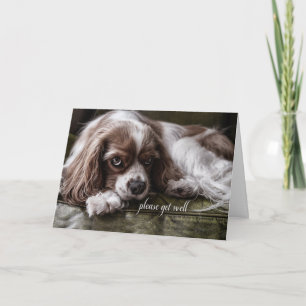 Carte Bien vite Cocker Spaniel Dog sur un canapé