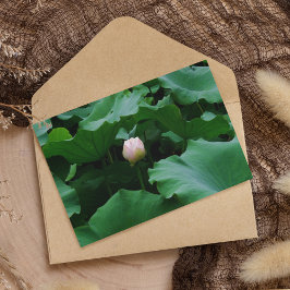 Carte Bientôt florissante