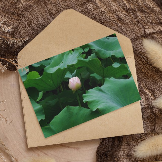 Carte Bientôt florissante (Créateur téléchargé)