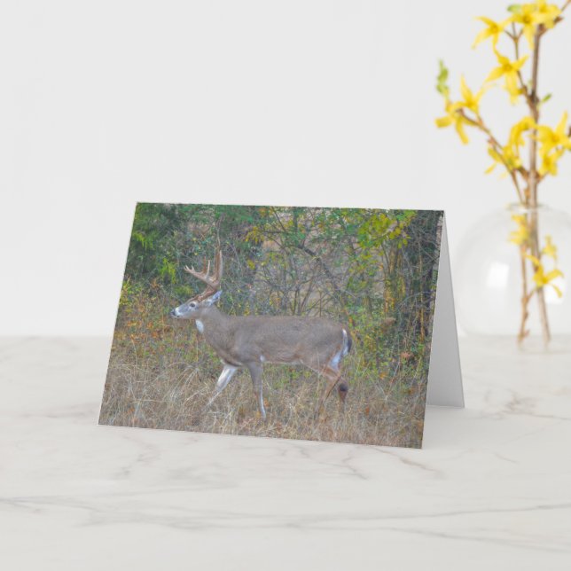 Carte Big Buck Deer au Texas Art Note Card (Fleur jaune)
