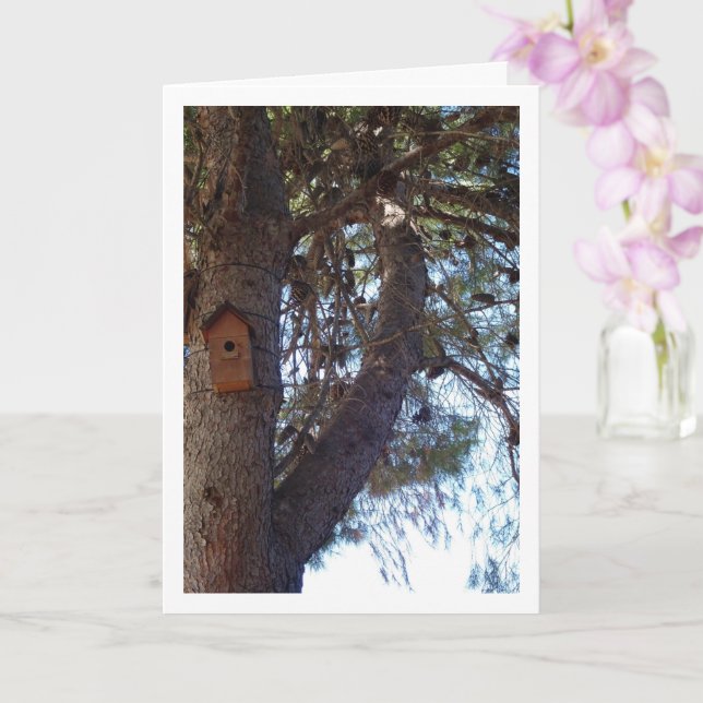 Carte Bird House dans le portrait d'arbre à pin (Orchidée)