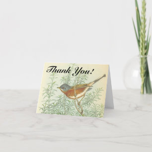 Carte Bird Perché sur une branche "Merci!"