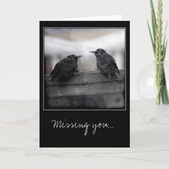 Carte Birds on Missing You greeting (Devant)