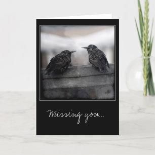Carte Birds on Missing You greeting card
