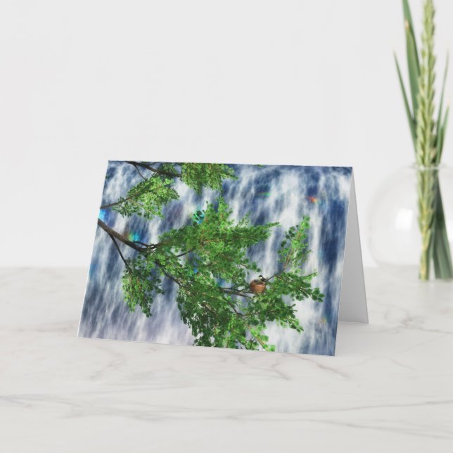 Carte Birdsnest Falls (Devant)