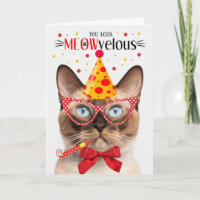 Birmanie Point de phoque Chat MEOWvelous Anniversa