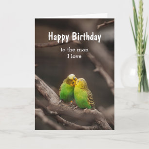 Carte Birthday Bird Cuddling Budgies Parakeet Man I love