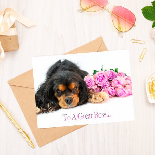 Carte Birthday Boss Cavalier King Charles Spaniel