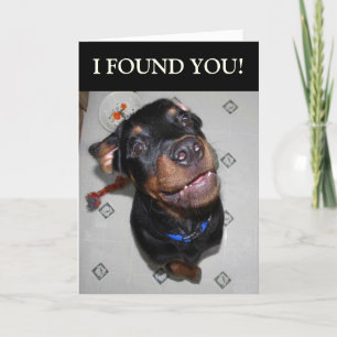 Carte Birthday Boy Funny Rottweiler Card