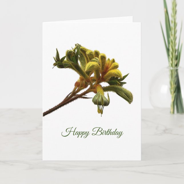 Carte Birthday Card (Devant)