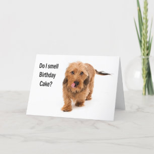 Carte birthday card