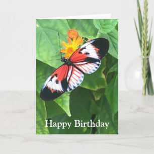 Carte Birthday Card Butterfly with Kafka Quote