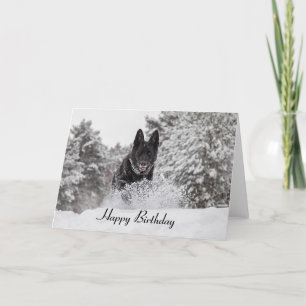 Carte Birthday Card German Shepherd Dog in snow