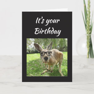 Carte Birthday Fun Kangaroo Australia Animal art