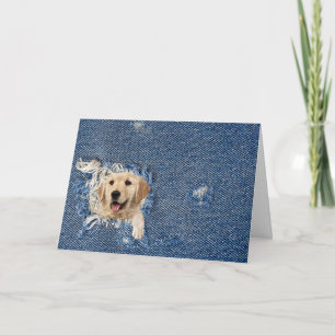 Carte Birthday golden retriever in denim hole