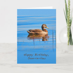 Carte Birthday, Son-in-law, Mallard Duck