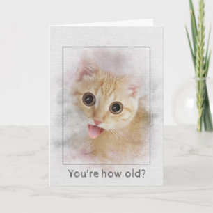 Carte Birthday tabby kitten