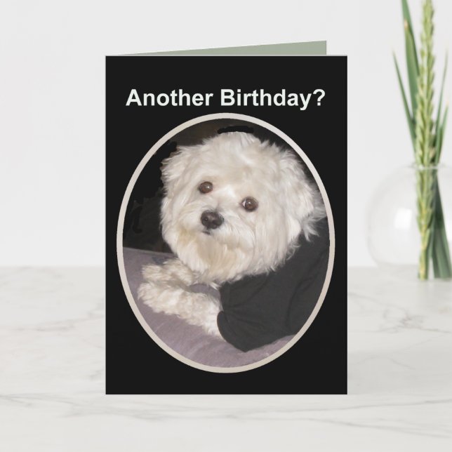 Carte Birthday Wishes for all Pet Lovers (Devant)